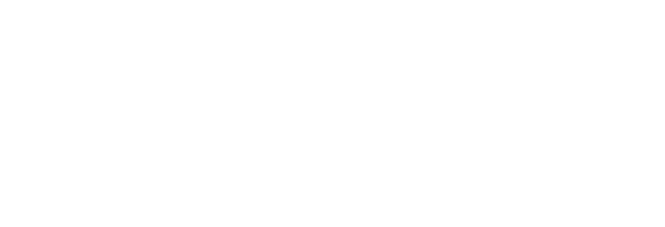 logo2 white