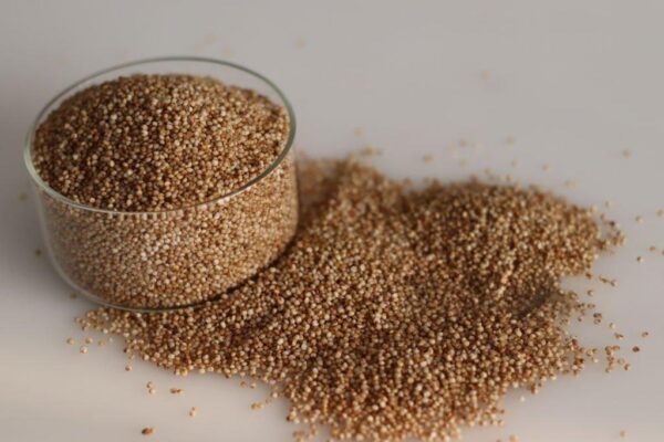 Kodo Millet Puttupodi | Varag | Steam Made - Image 2