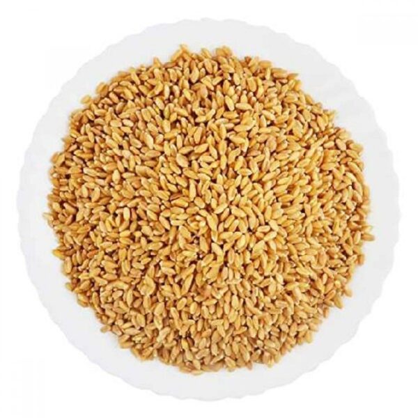 Samba Wheat Puttupodi | Steam Made | Sooji Gothamb - Image 2